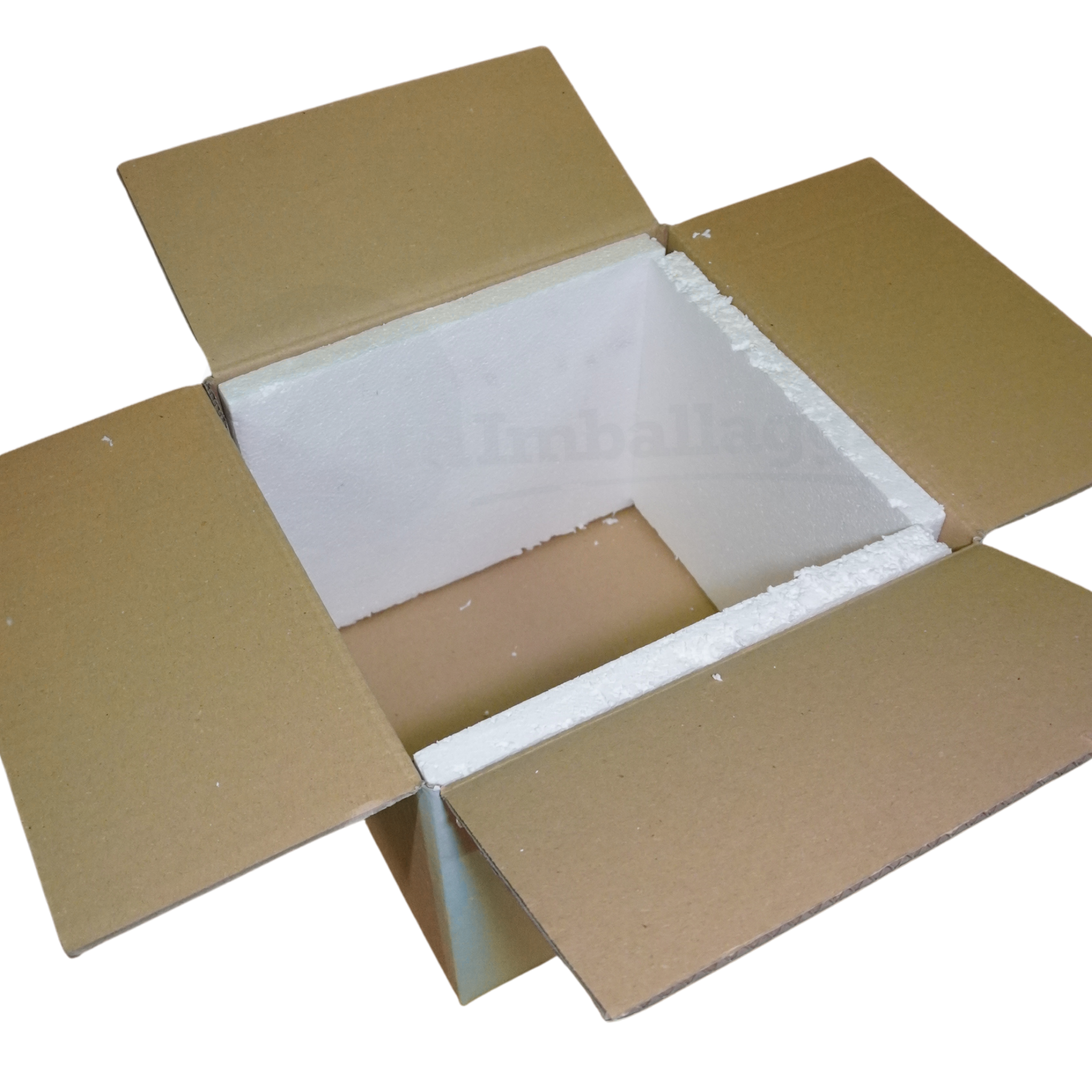 Lastre in Polistirolo cm 50x100 spessore 1 cm per controsoffitti (conf. 10 pz)
